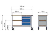 Mobiele werkbank 04.512.04A - afm.1200x540x880 mm BxDxH